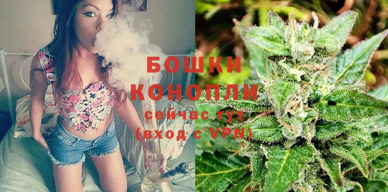 Каннабис White Widow  где купить   Данилов 